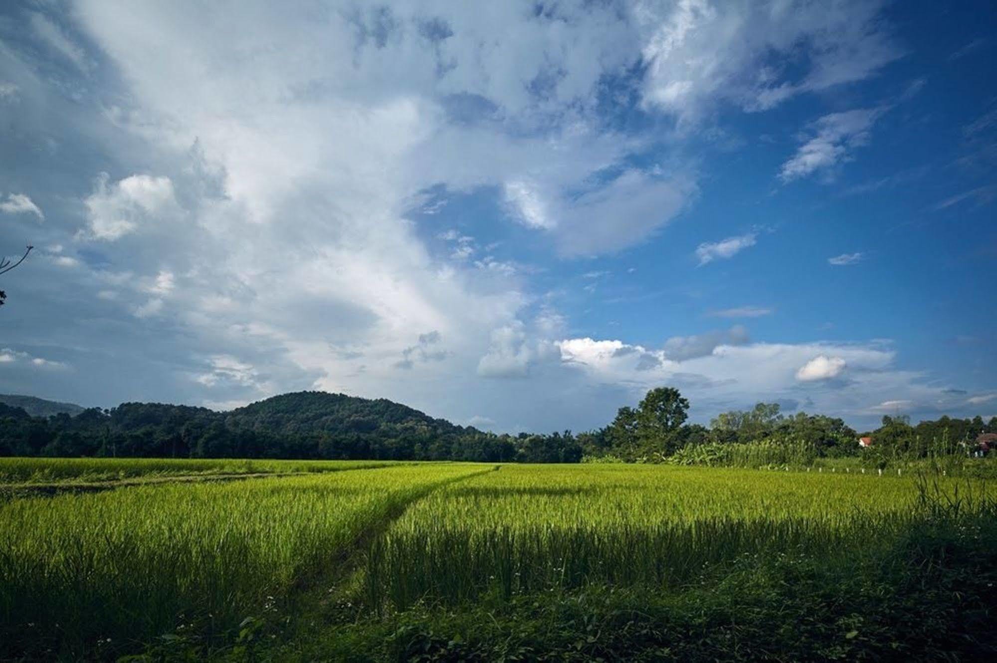 Bambuh Boutique Homestay (Adults Only) Chiang Rai Luaran gambar